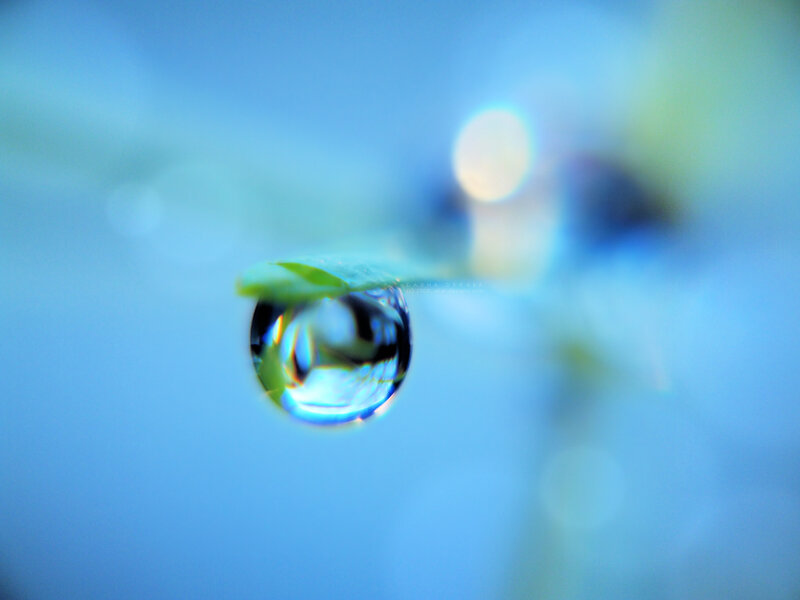 Water Droplet on Leaf — Blue, Serene, Photograph