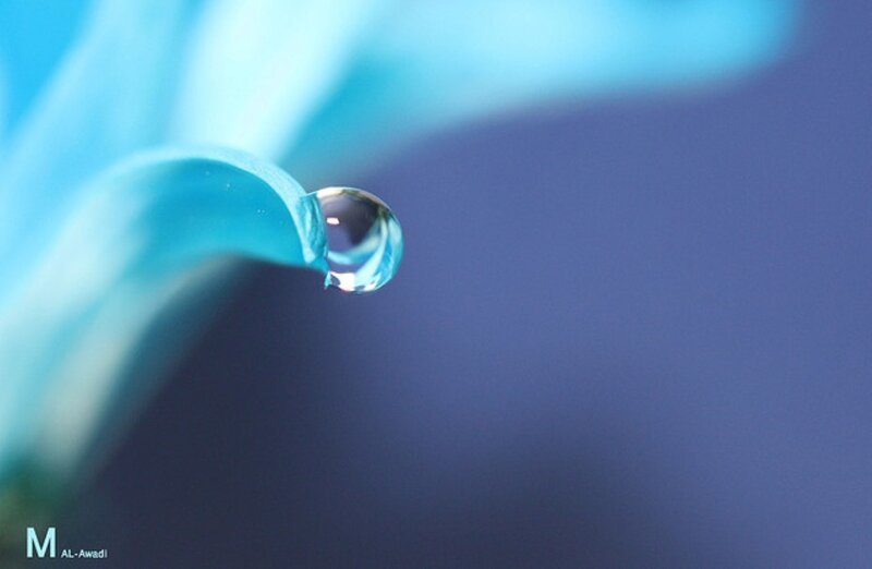 Water Droplet on Leaf — Blue, Serene