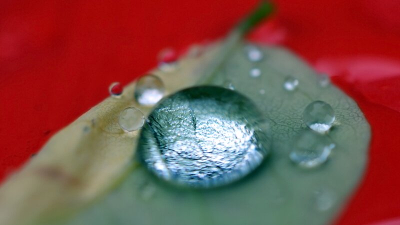 Water Droplet on Leaf — Green, Calm, Photograph
