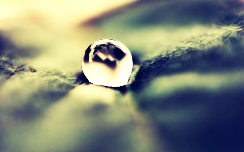 Water Droplet on Leaf — Green, Serene, Morning, Photograph, Drop, Light