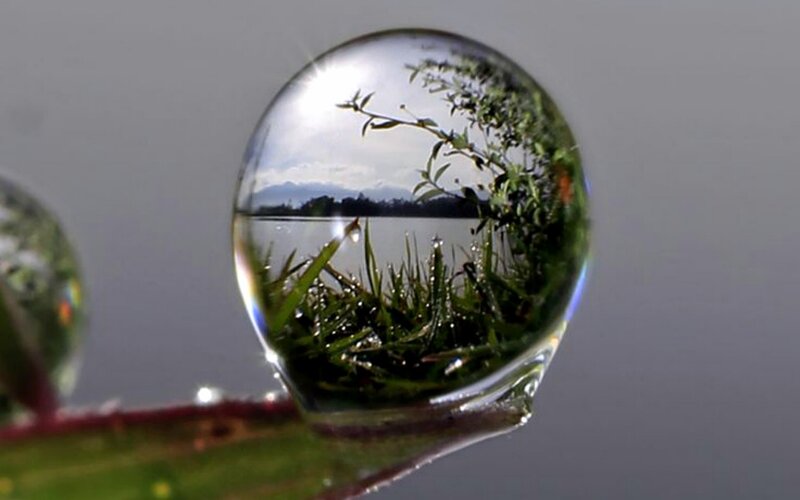 Water Droplet on Leaf — Green, Serene, Morning, Photograph, Grass