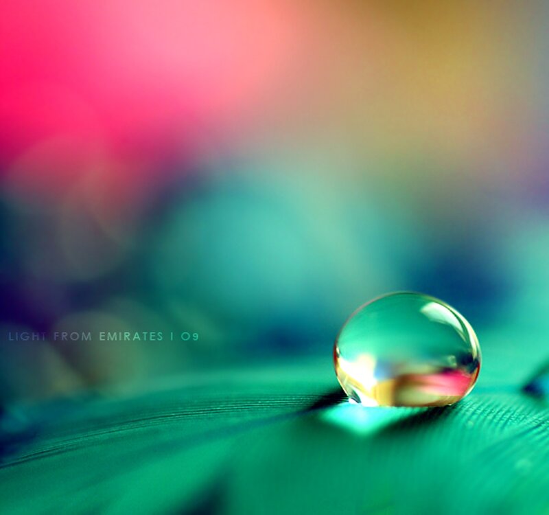 Water Droplet on Leaf — Green, Serene, Photograph, Drop, Colorful Background