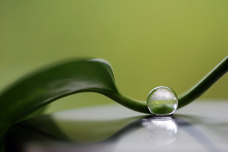 Water Droplet on Leaf — Green, Serene, Photograph, Drop, Reflection