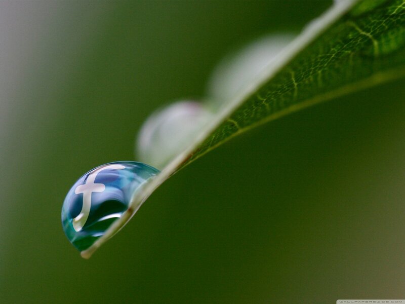 Water Droplet on Leaf — Green, Serene, Photograph, Drop