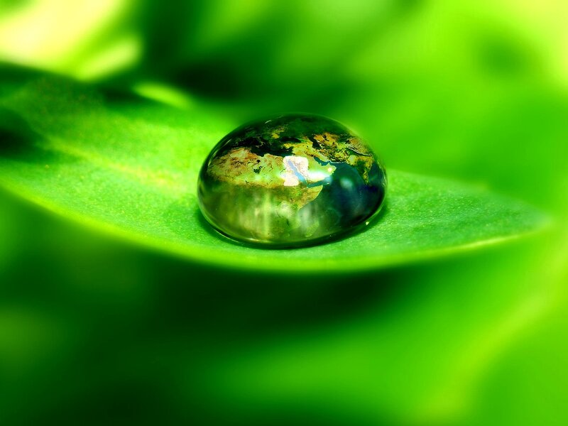 Water Droplet on Leaf — Green, Serene, Photograph, Earth Reflection