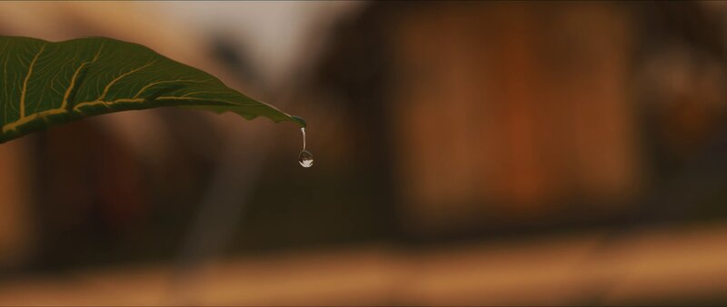 Water Droplet on Leaf — Green, Serene, Sunset