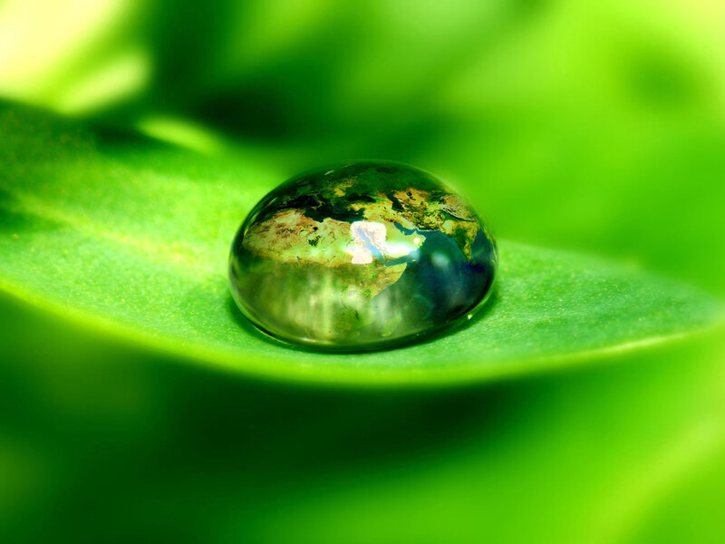 Water Droplet on Leaf — Green, Serene
