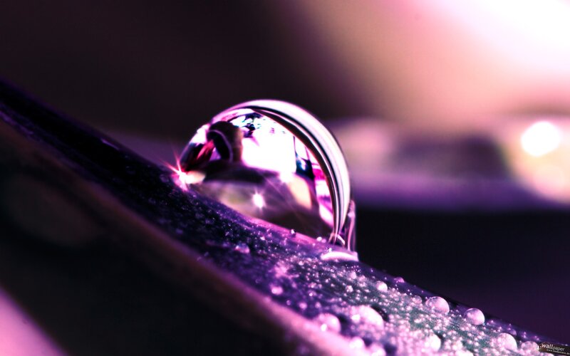 Water Droplet on Leaf — Purple, Dramatic, Photograph, Light
