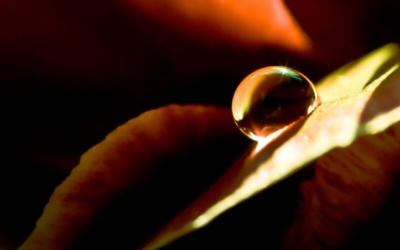 Water Droplet on Leaf — Yellow, Dramatic
