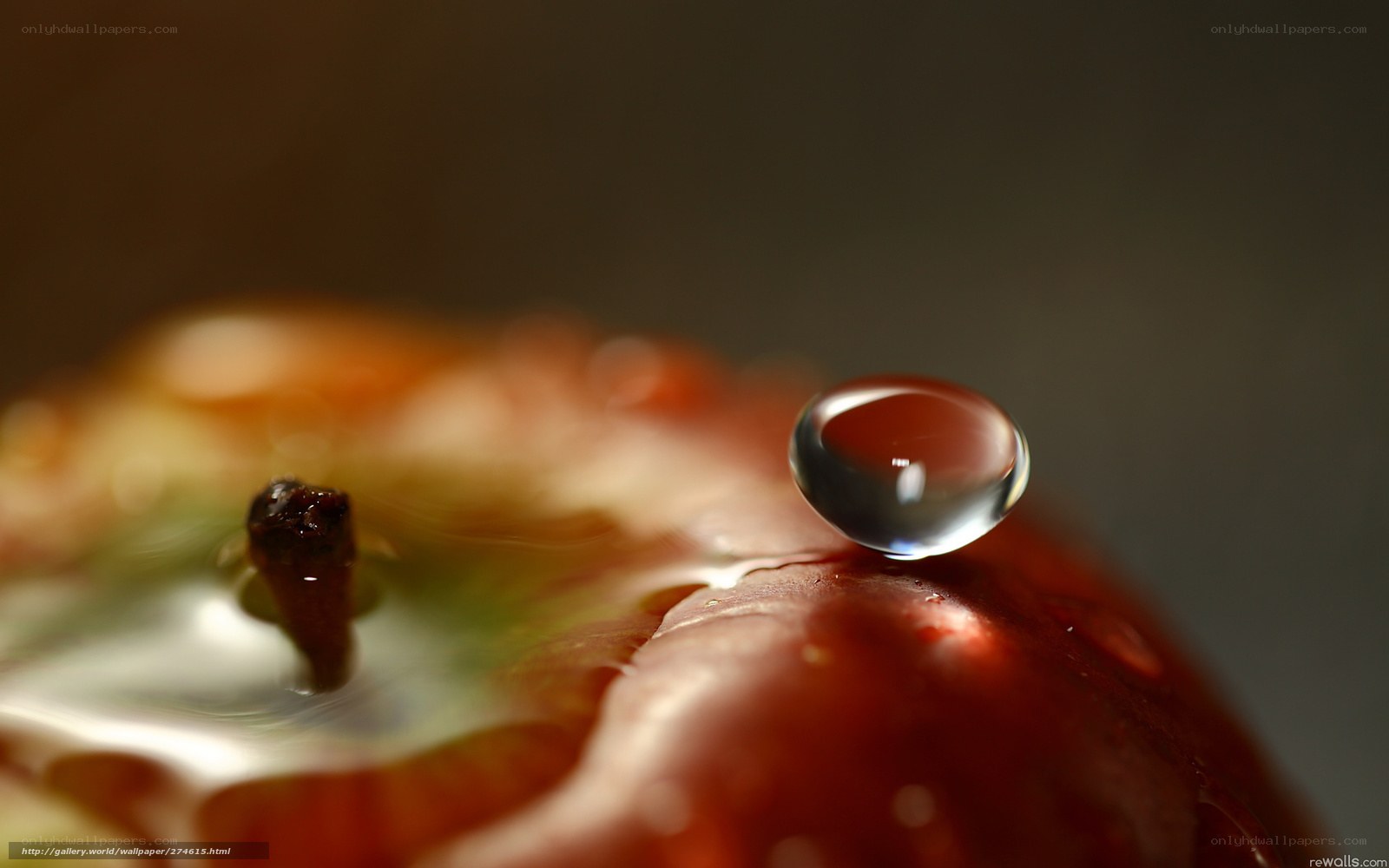Water droplet on red apple