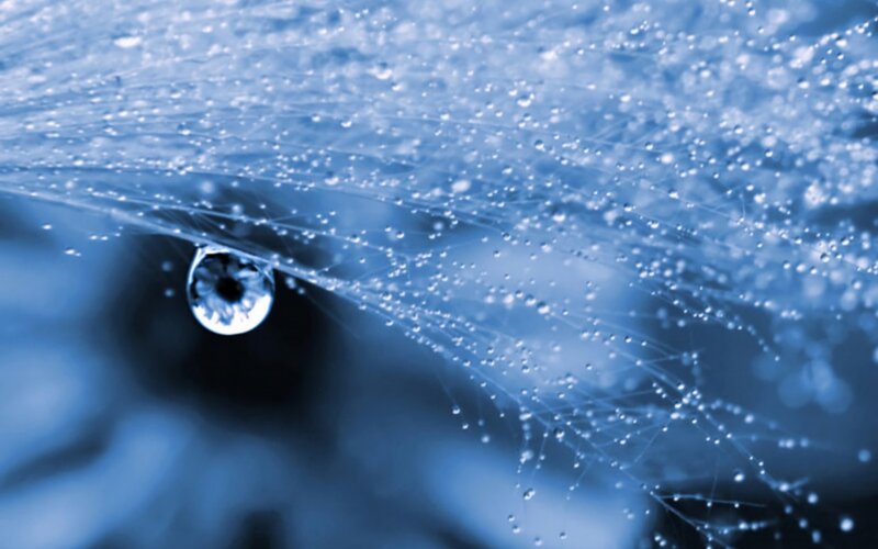 Water Droplet on Spiderweb
