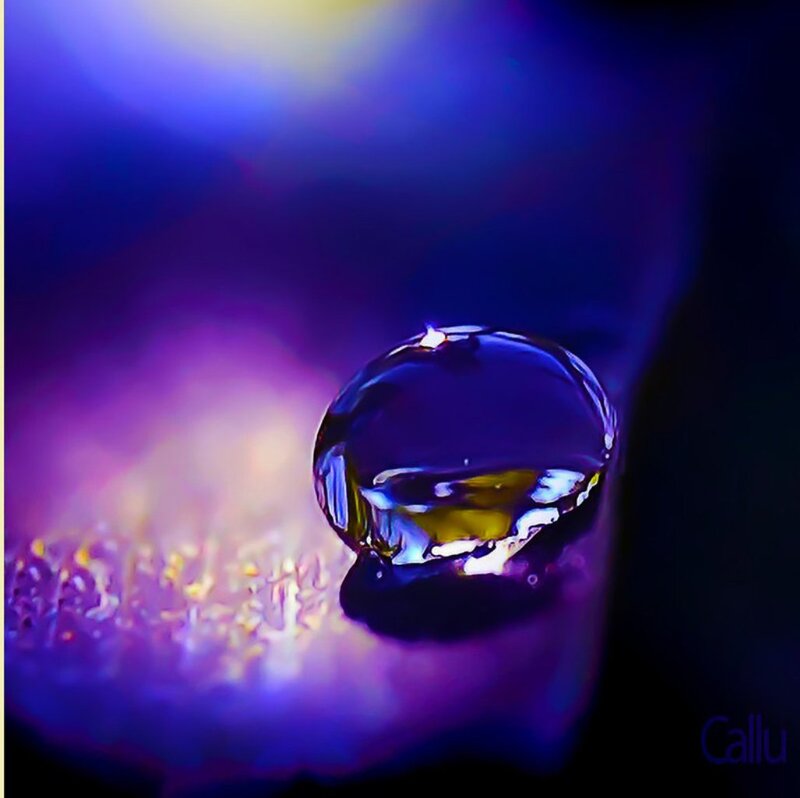 Water Droplet on Surface — Purple, Dramatic