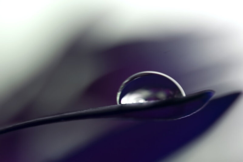 Water Droplet on Surface — Purple