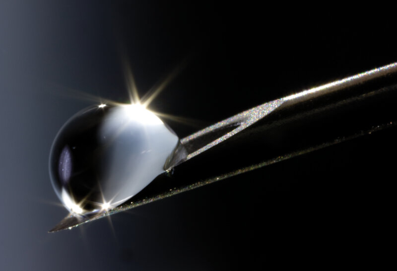 Water droplet on tweezers