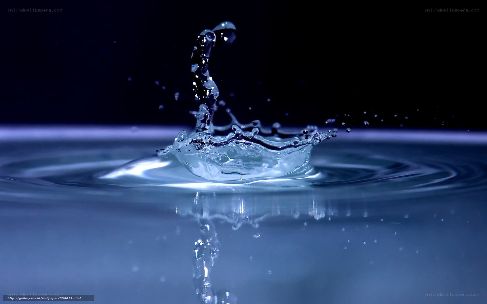 Water droplet splash