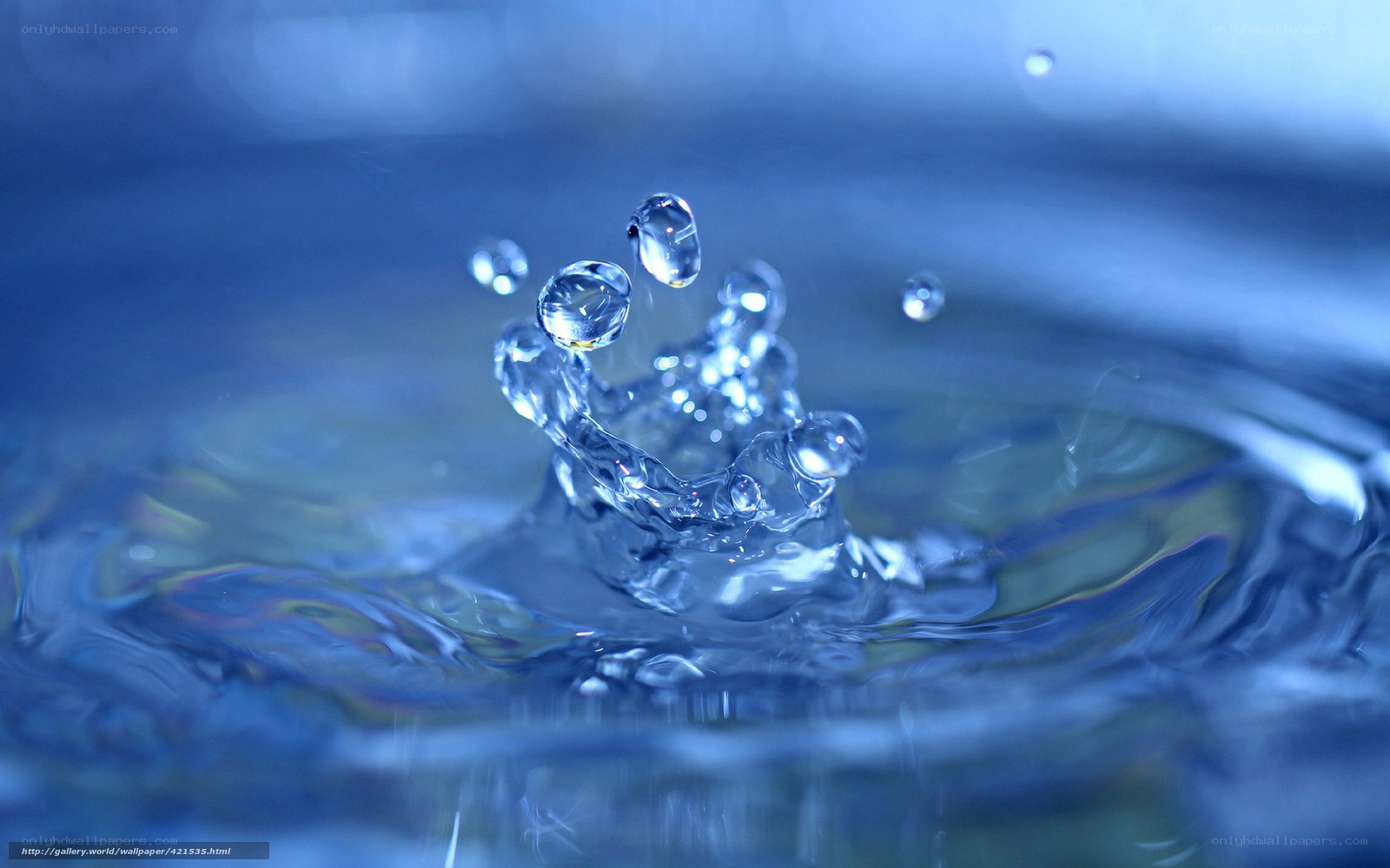 Water droplet splash