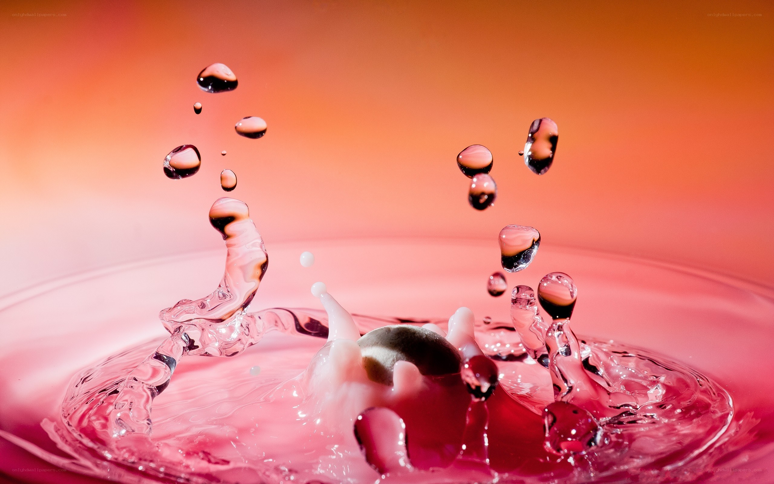 Water droplet splash