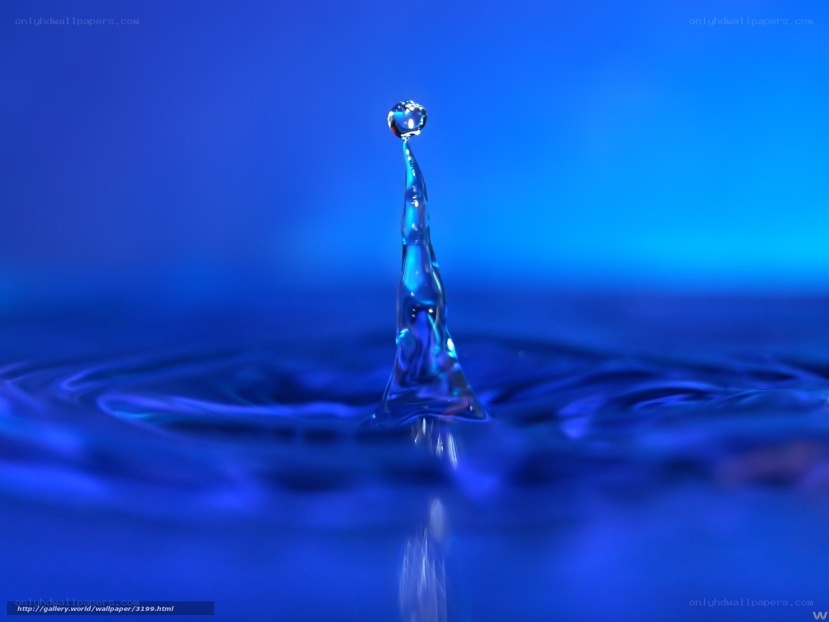 Water droplet splash