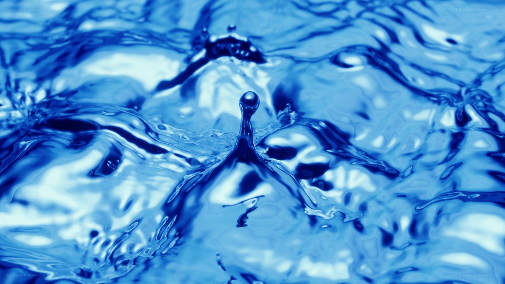 Water droplet splash