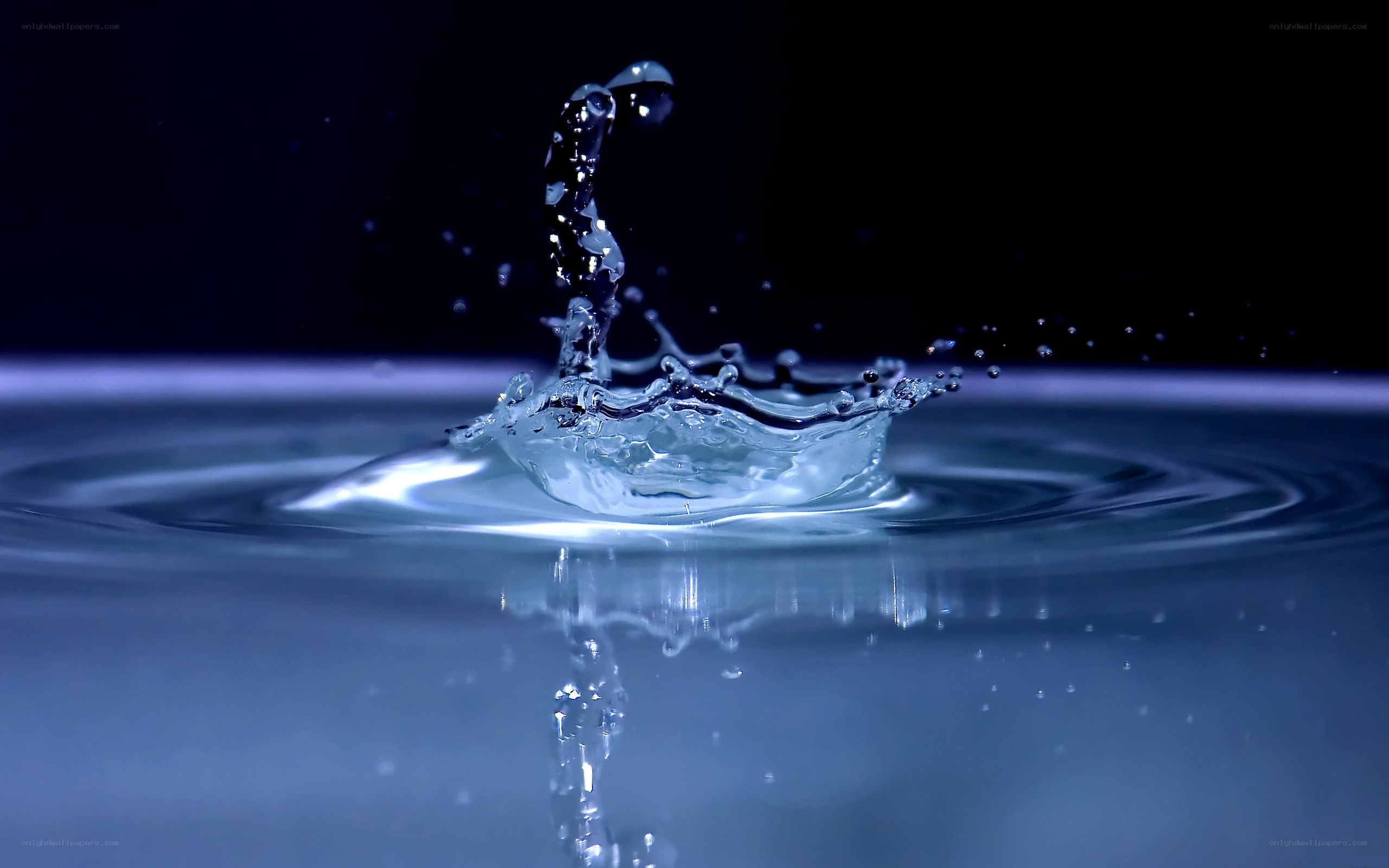 Water droplet splash