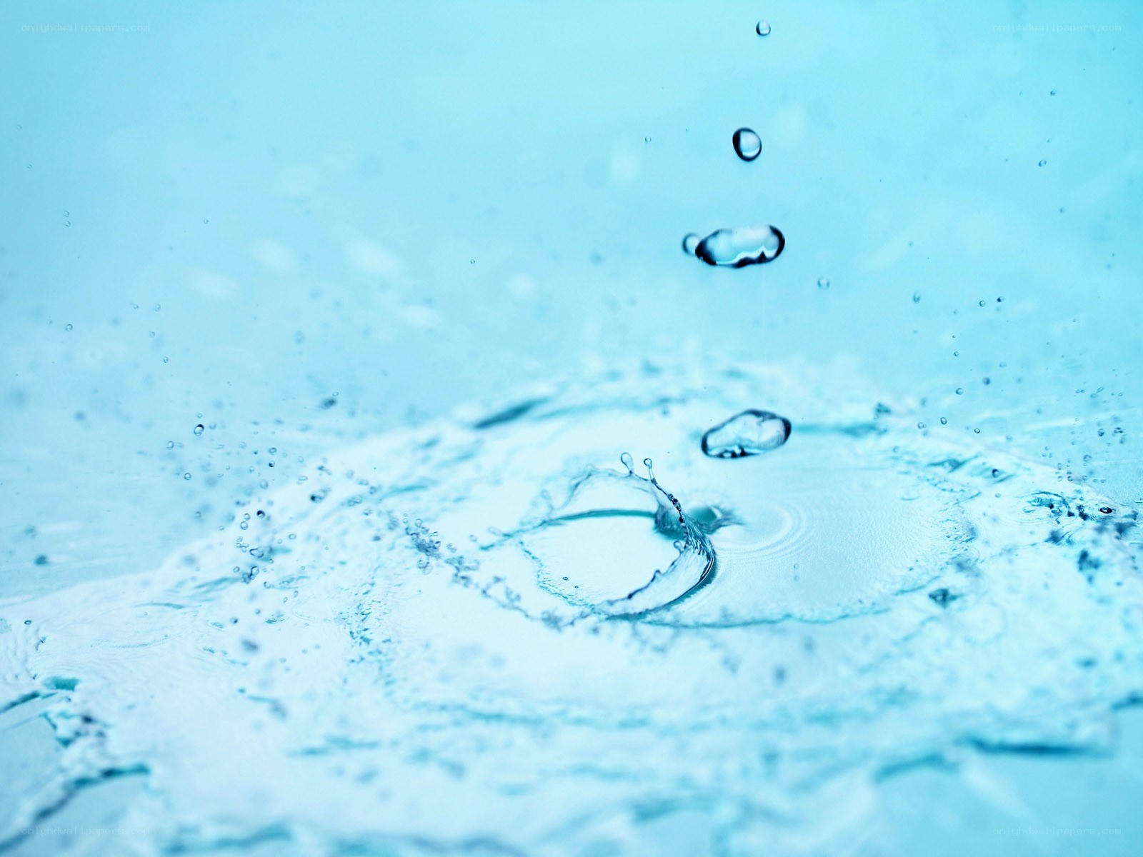 Water droplet splash