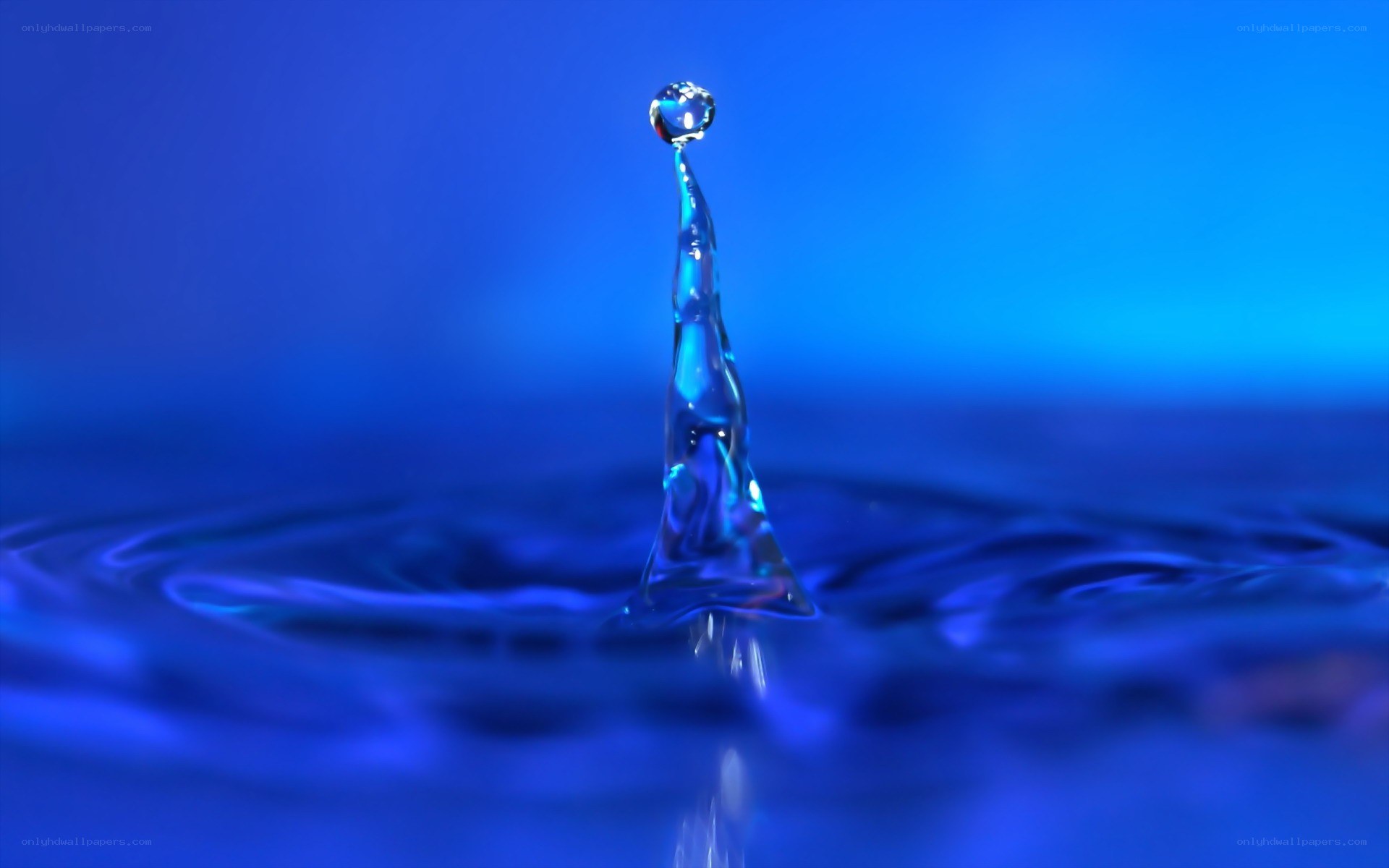 Water droplet splash