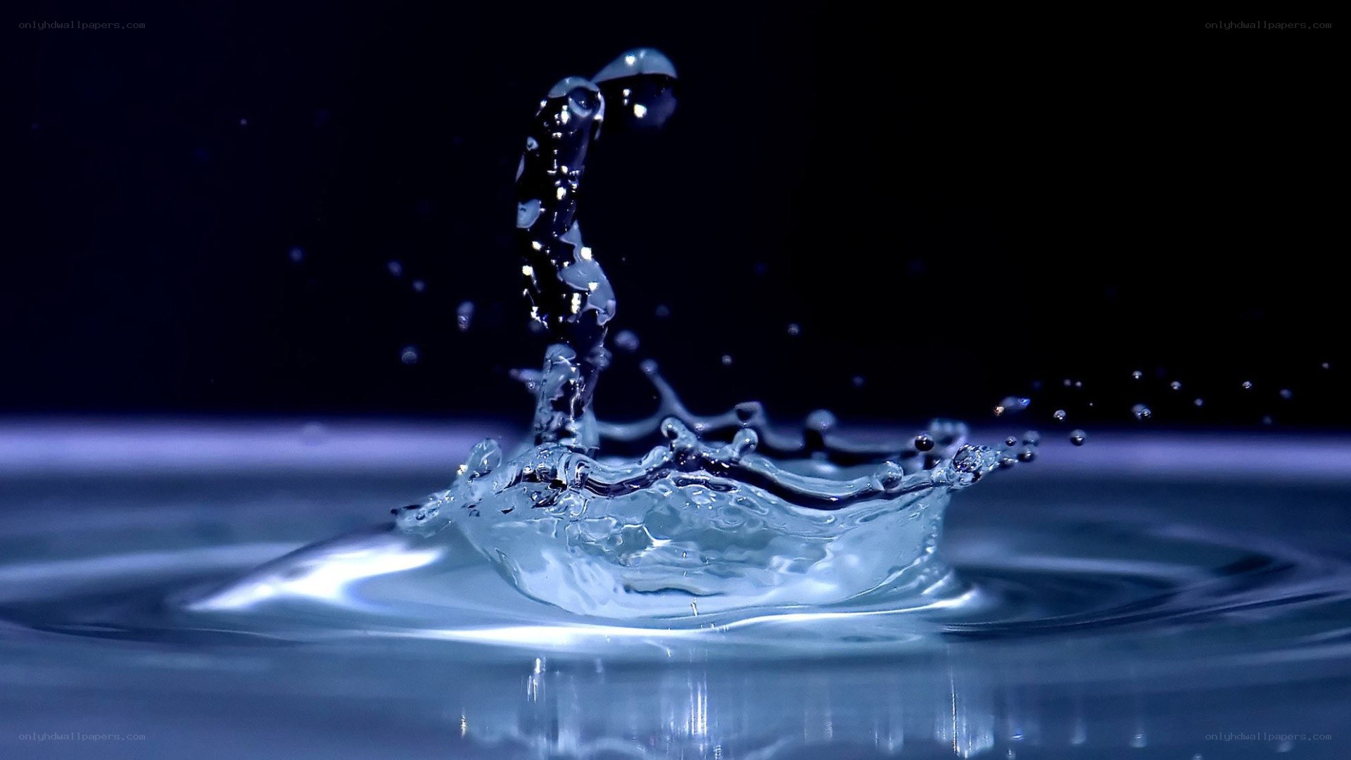 Water droplet splash