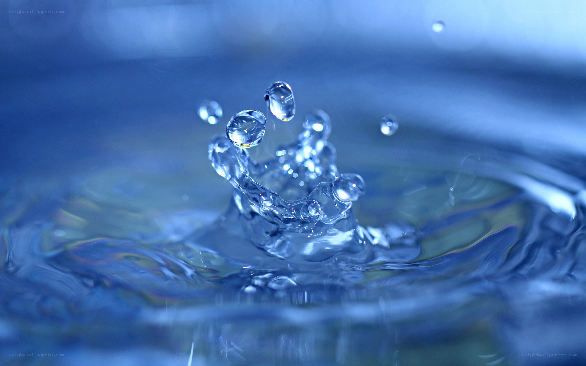 Water droplet splash