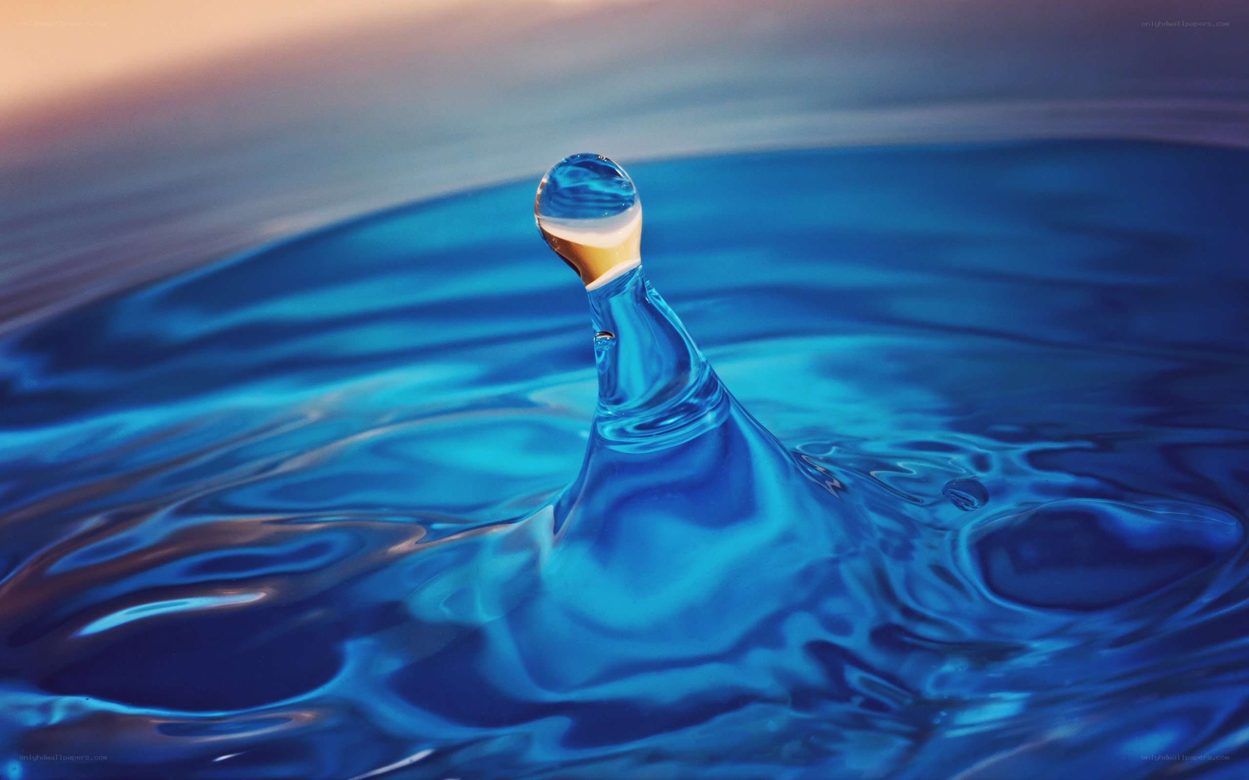 Water droplet splash