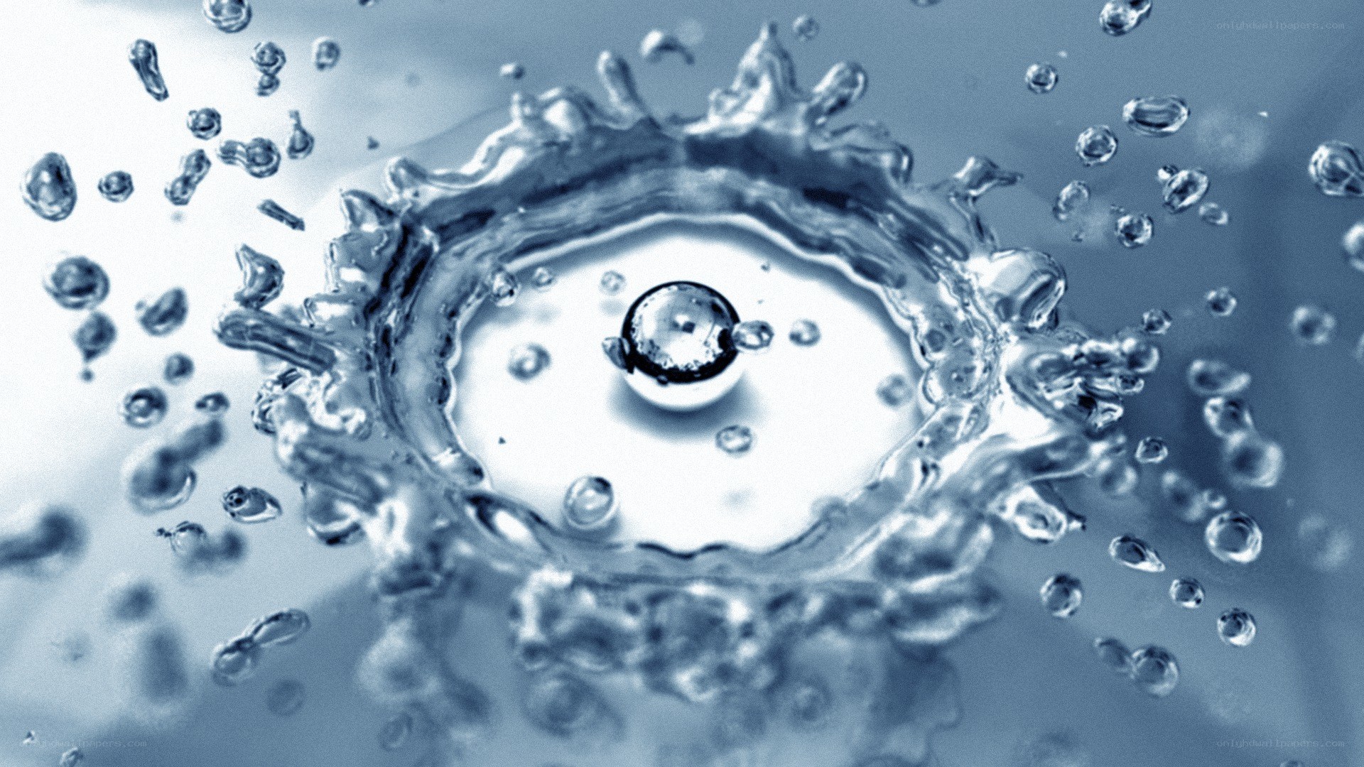 Water droplet splash