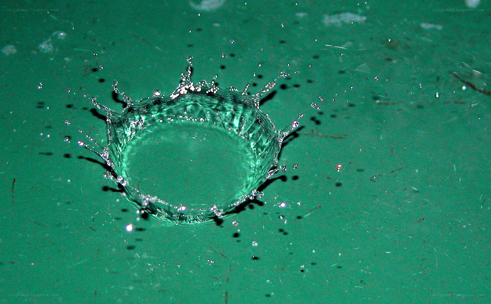 Water droplet splash