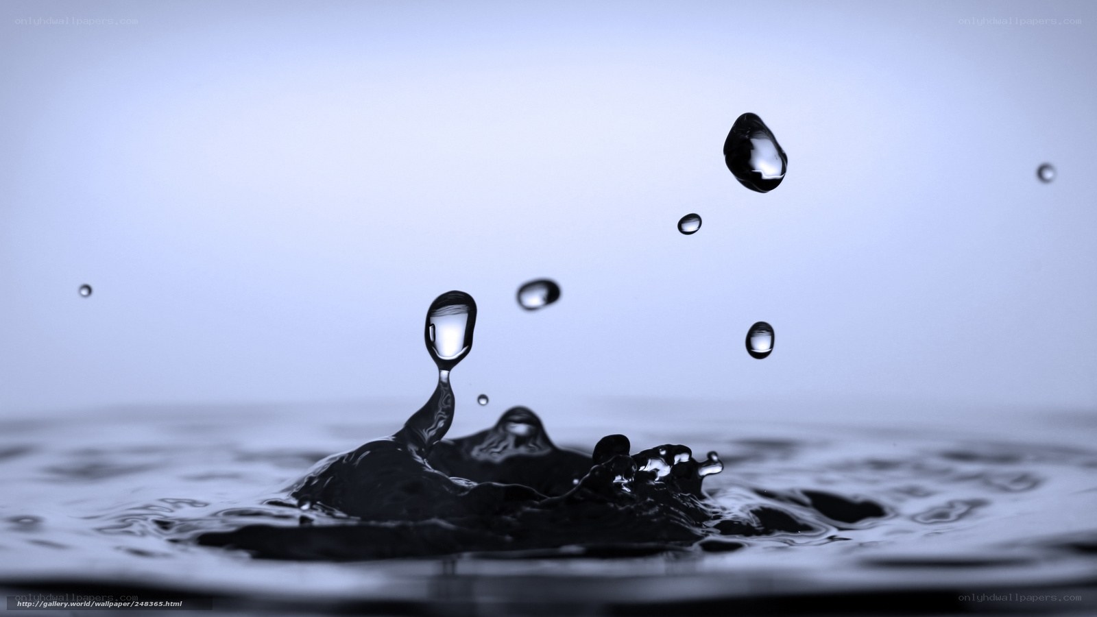 Water droplet splash