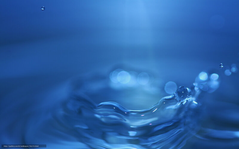 Water Droplet Splash — Blue, Calm, Photograph, Ripple