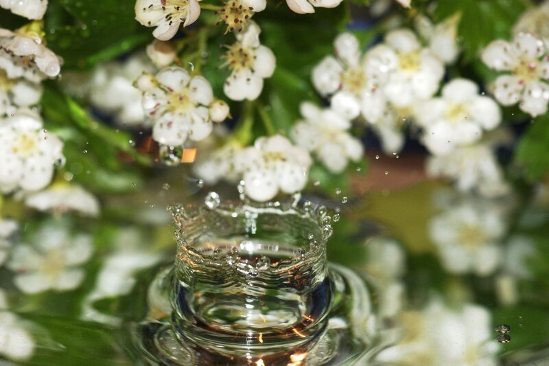 Water Droplet Splash — White