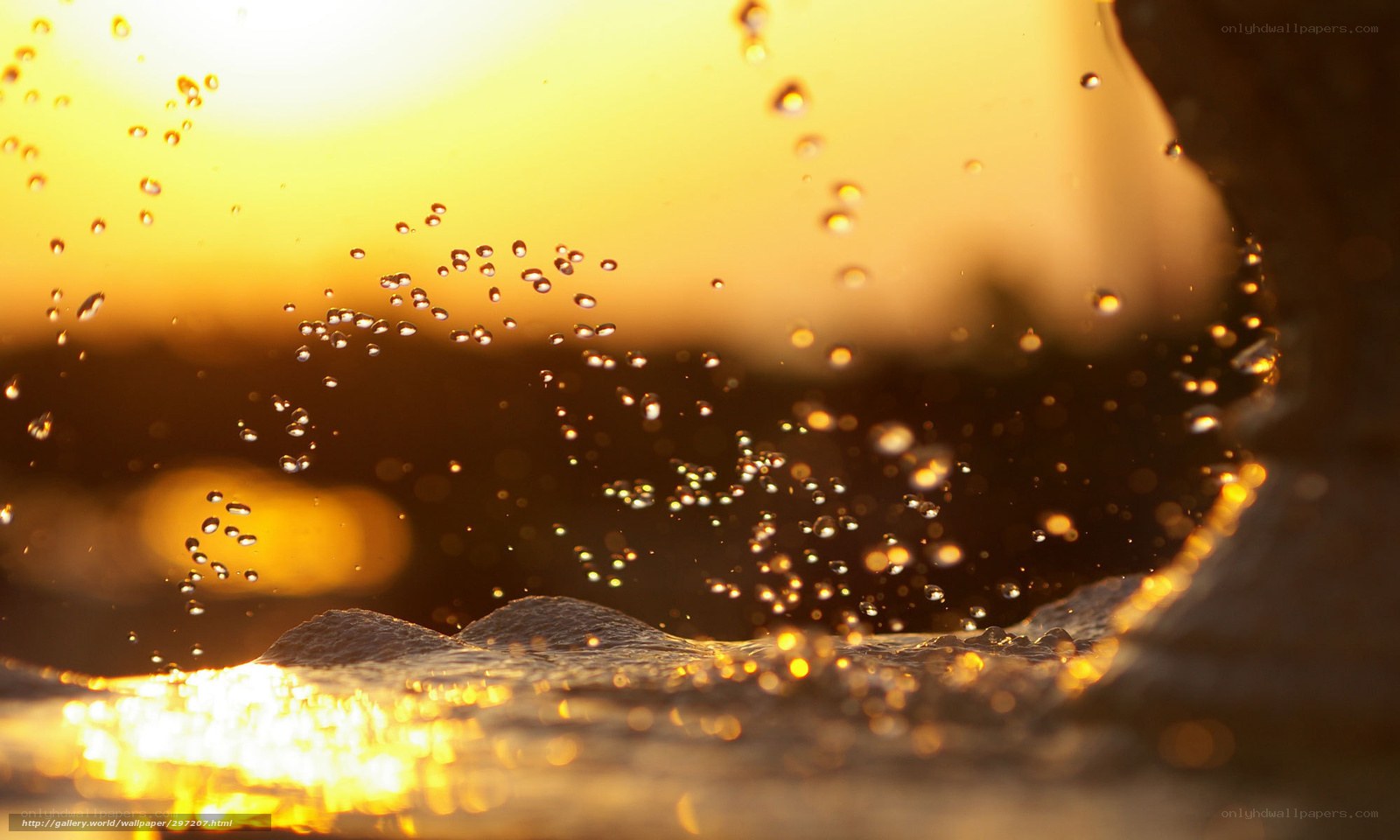 Water droplets at sunset
