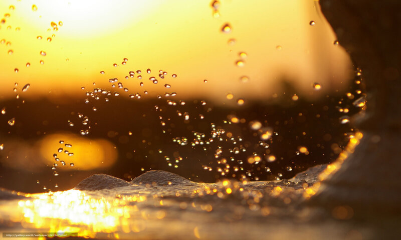 Water Droplets at Sunset — Yellow