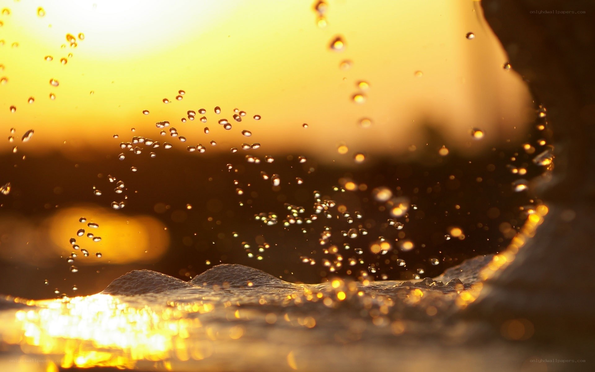 Water droplets at sunset
