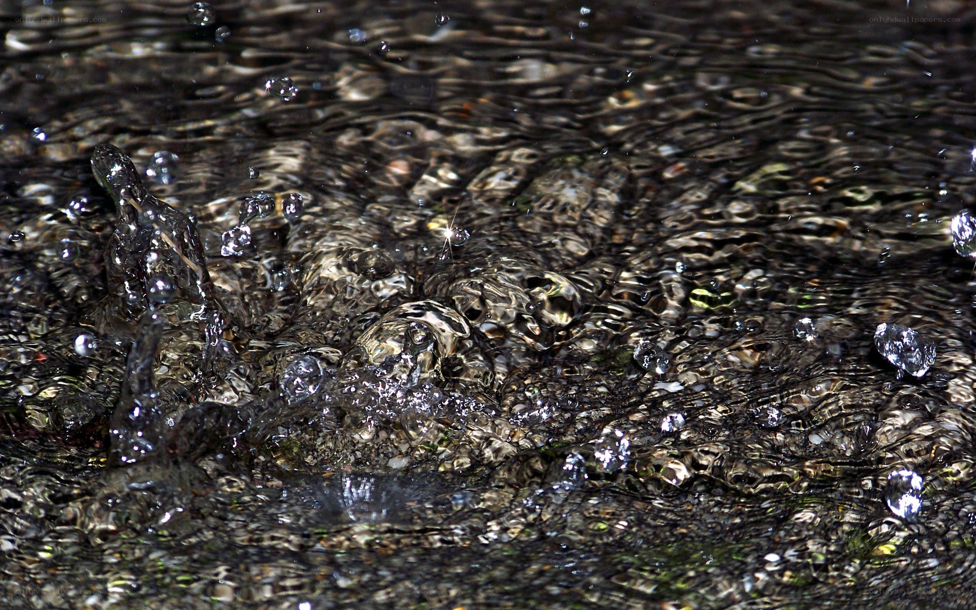 Water droplets creating ripples