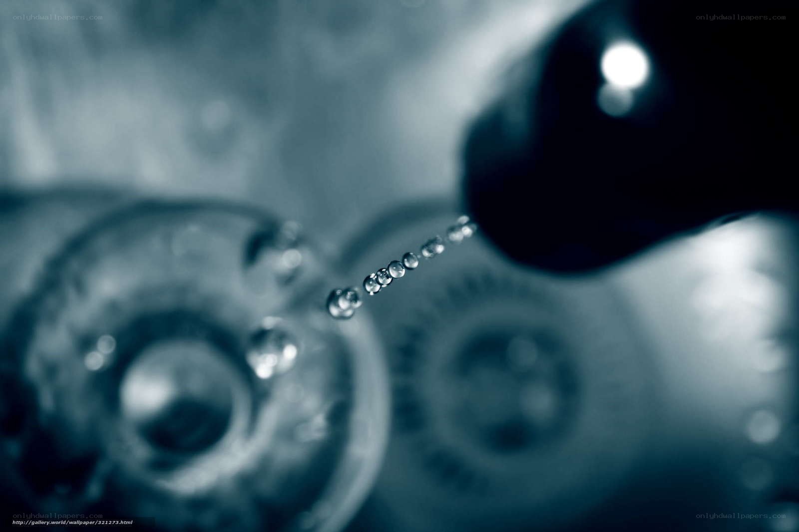 Water droplets falling in slow motion