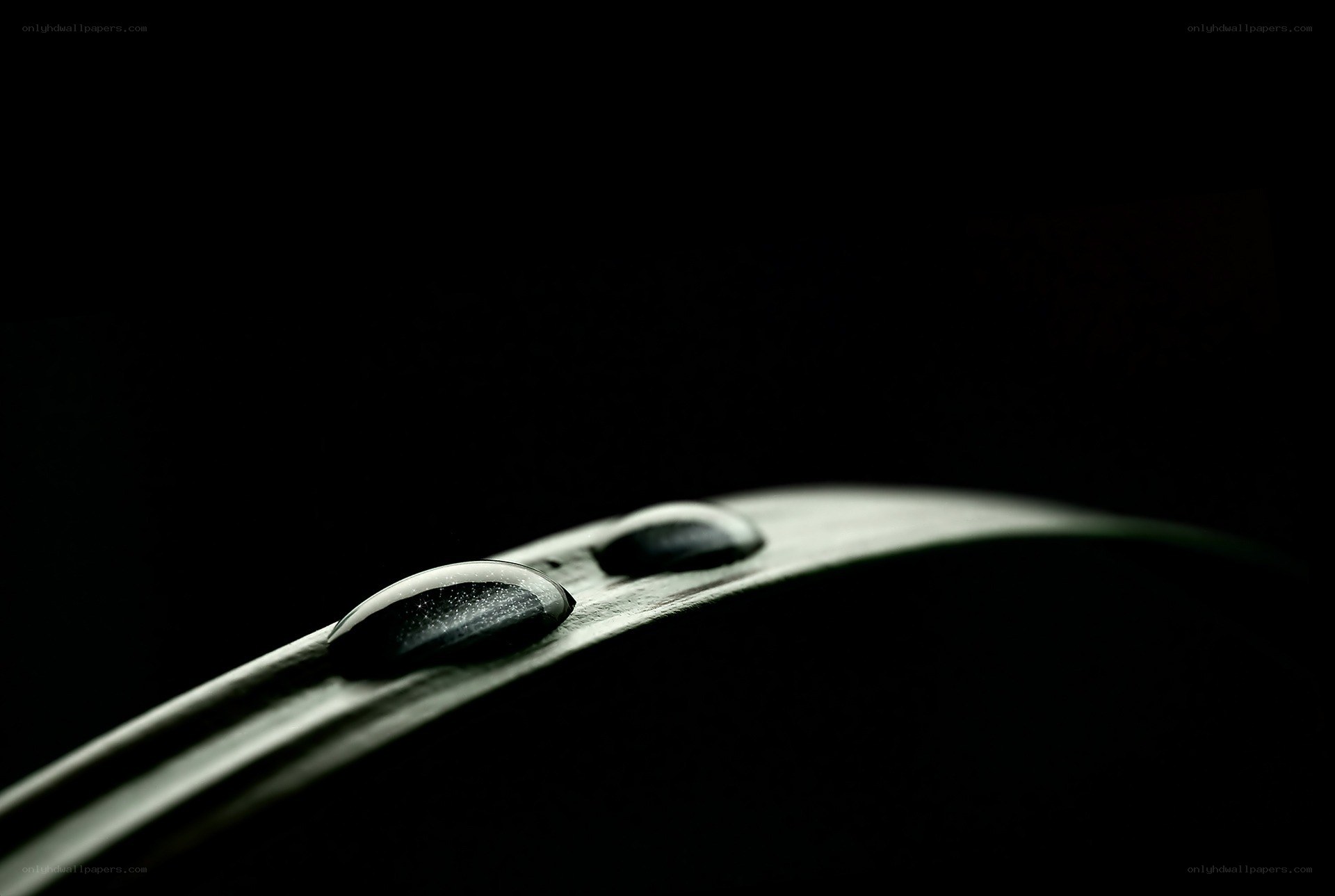 Water droplets on a blade