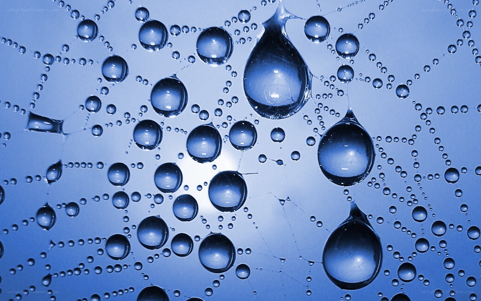 Water droplets on a blue surface