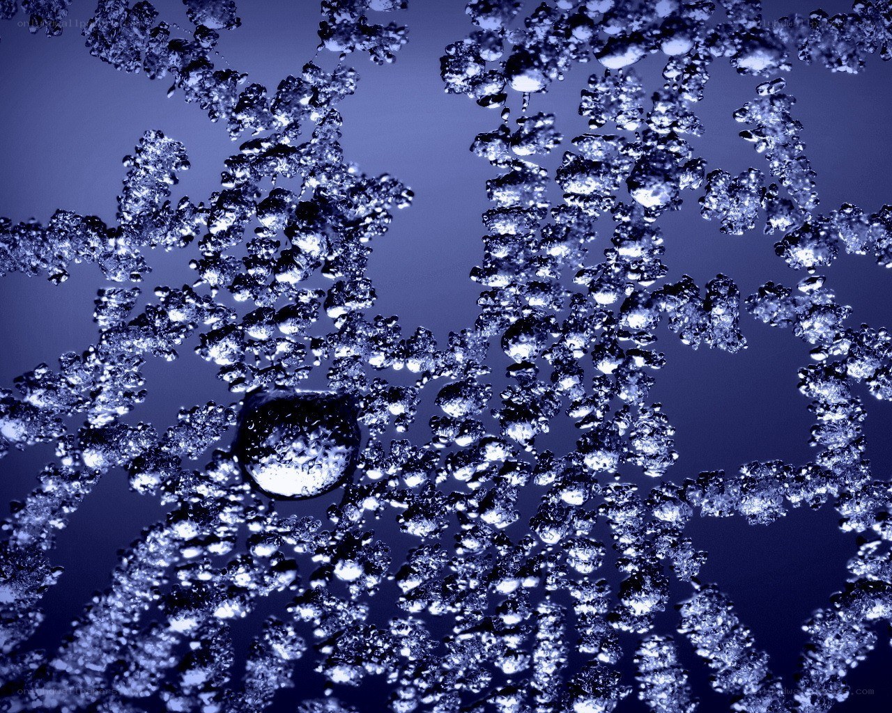 Water droplets on a blue surface