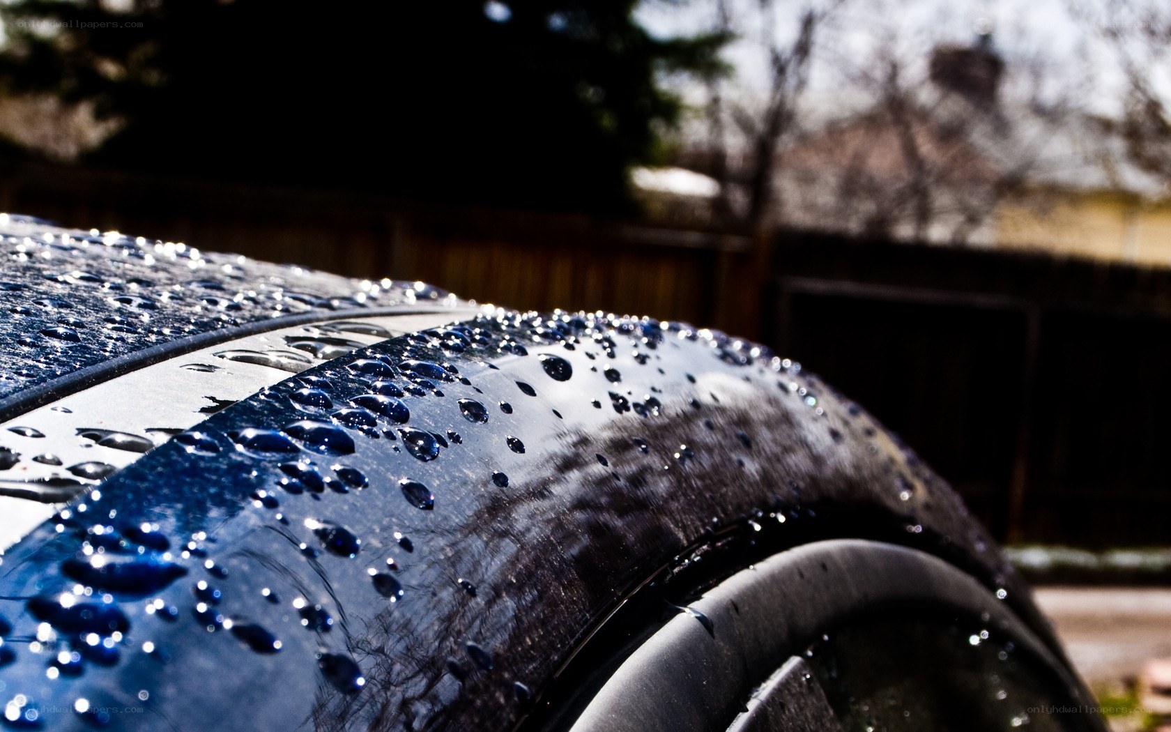 Water droplets on a car