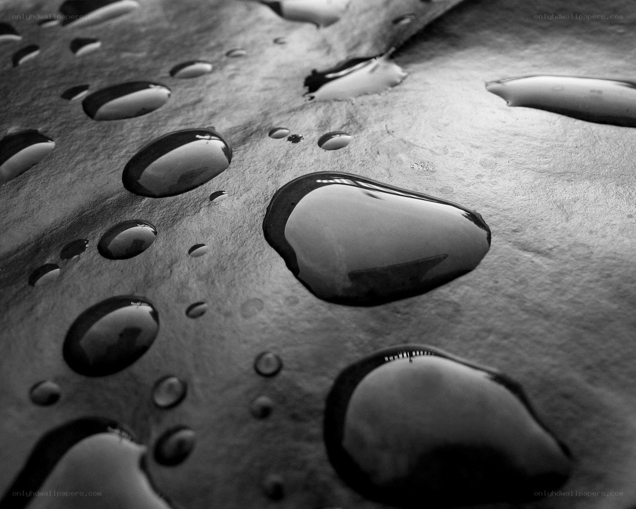 Water droplets on a dark surface