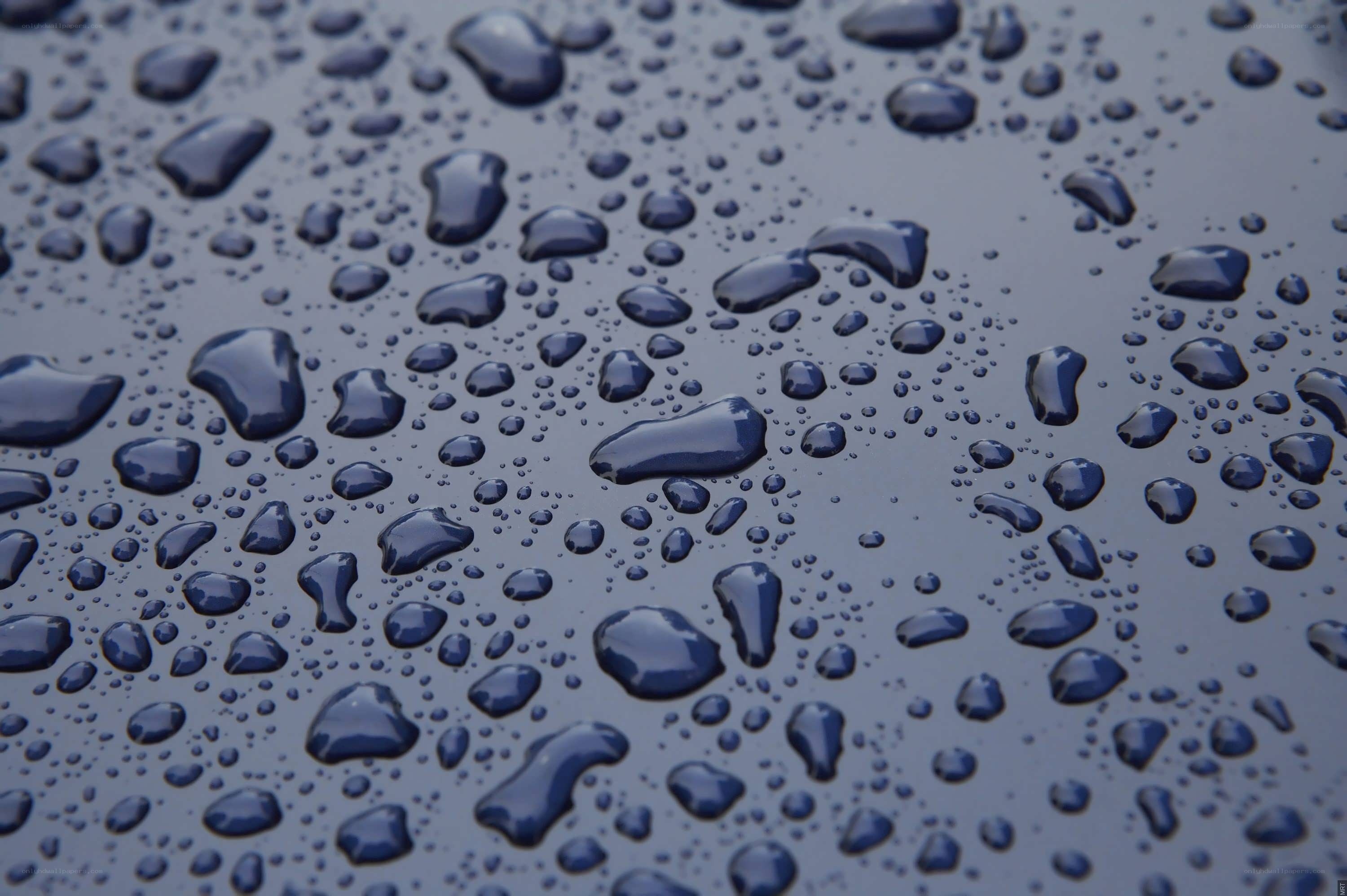 Water droplets on a dark surface