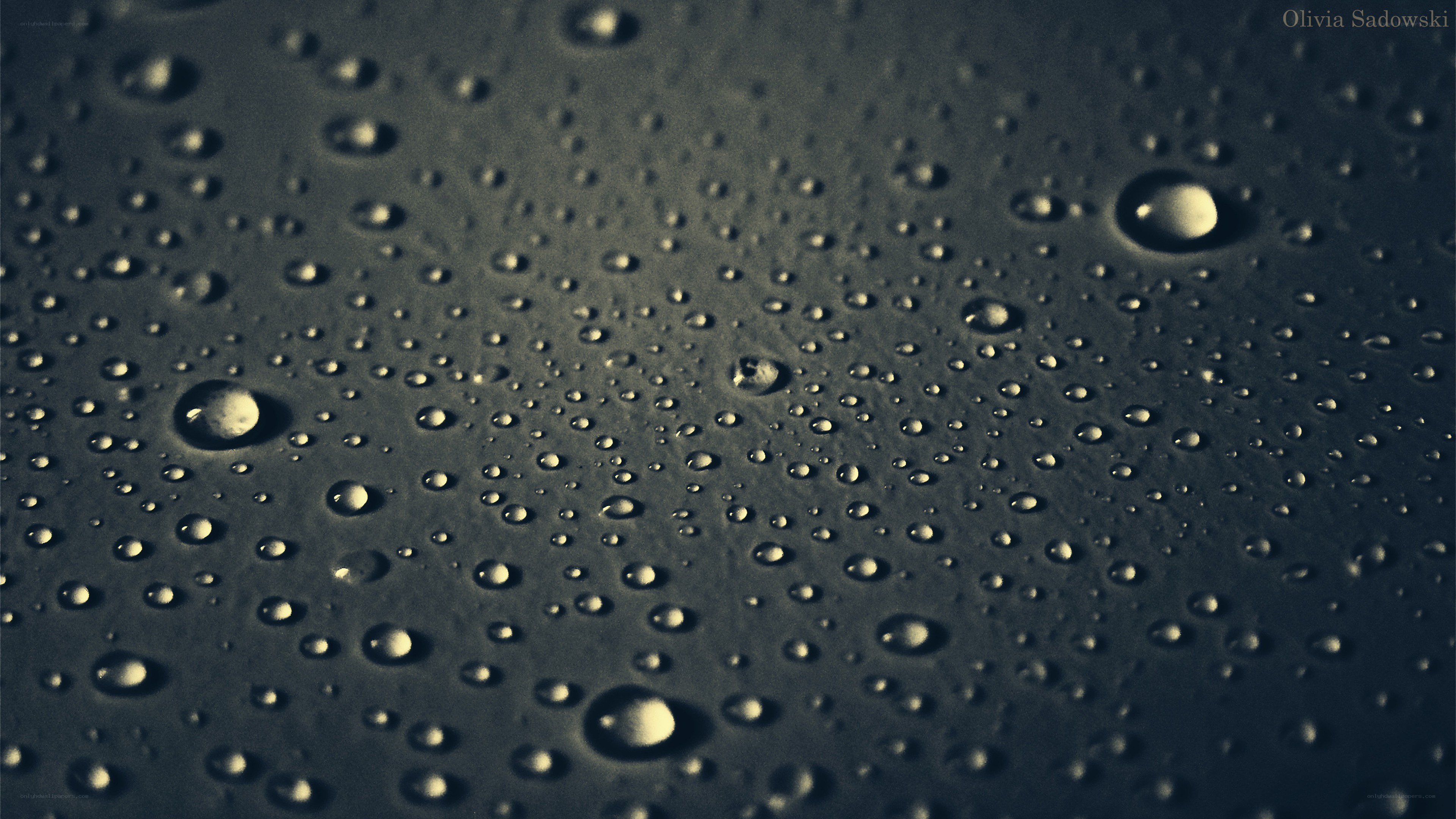Water droplets on a dark surface