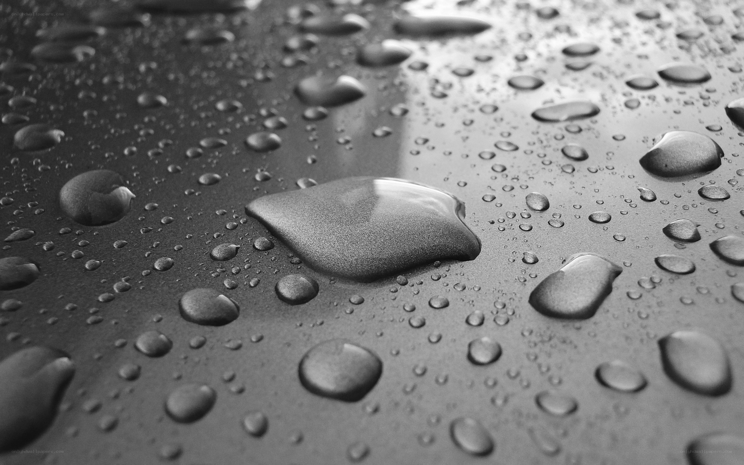 Water droplets on a dark surface