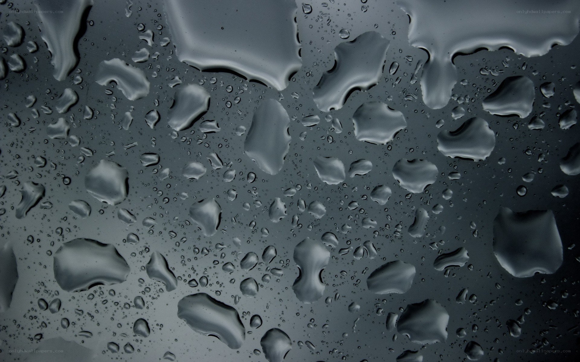 Water droplets on a dark surface