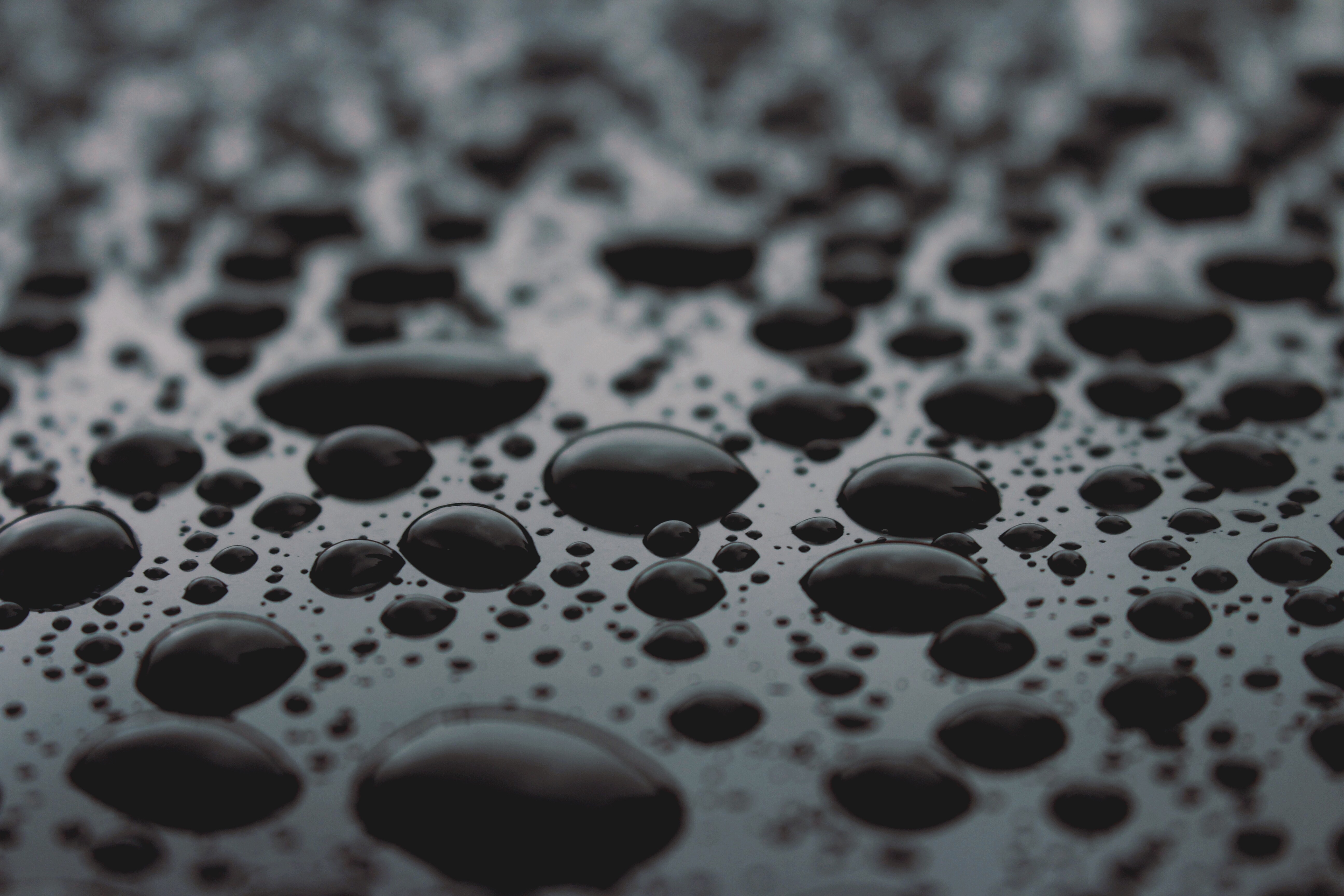 Water droplets on a dark surface