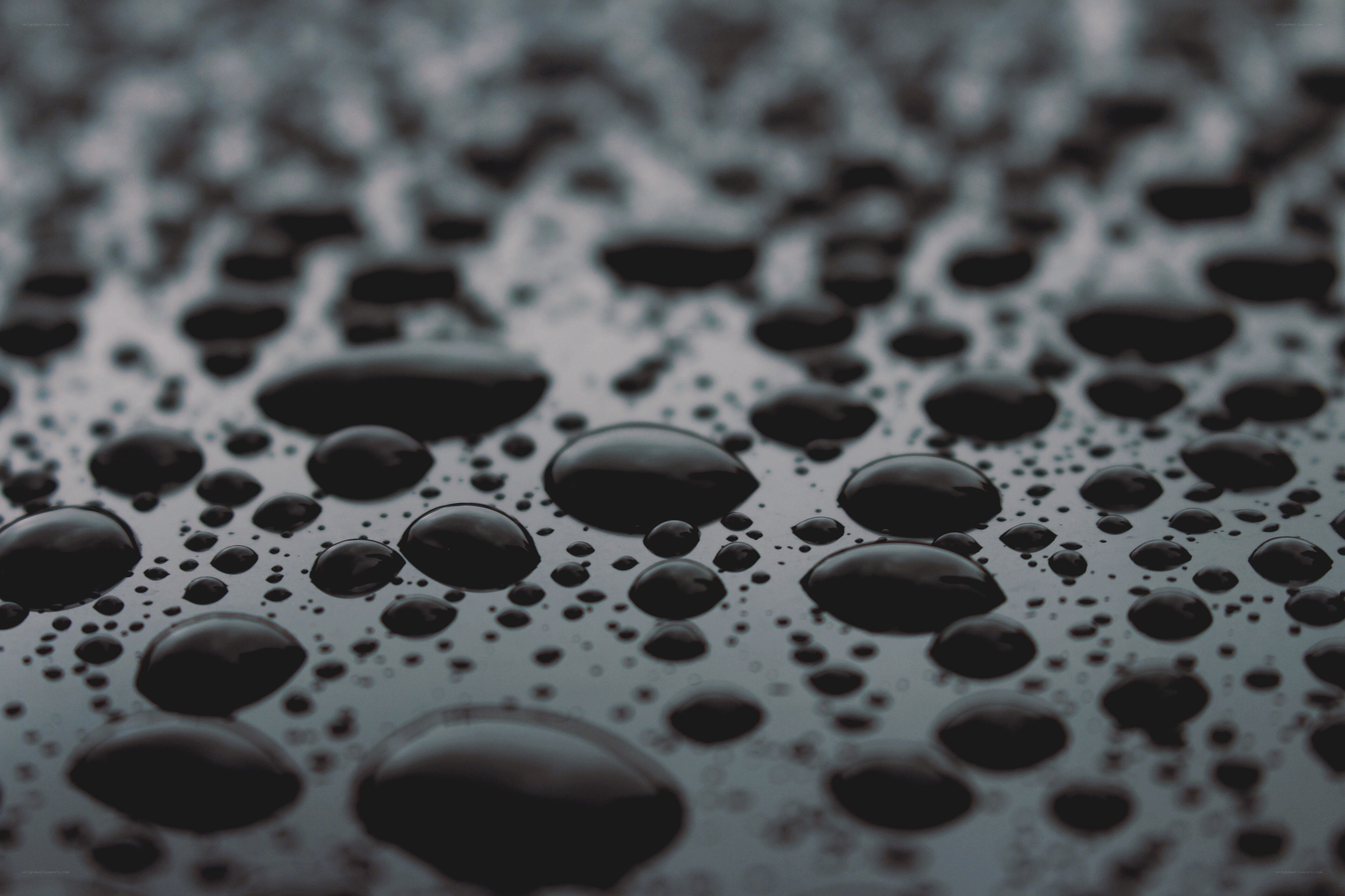 Water droplets on a dark surface